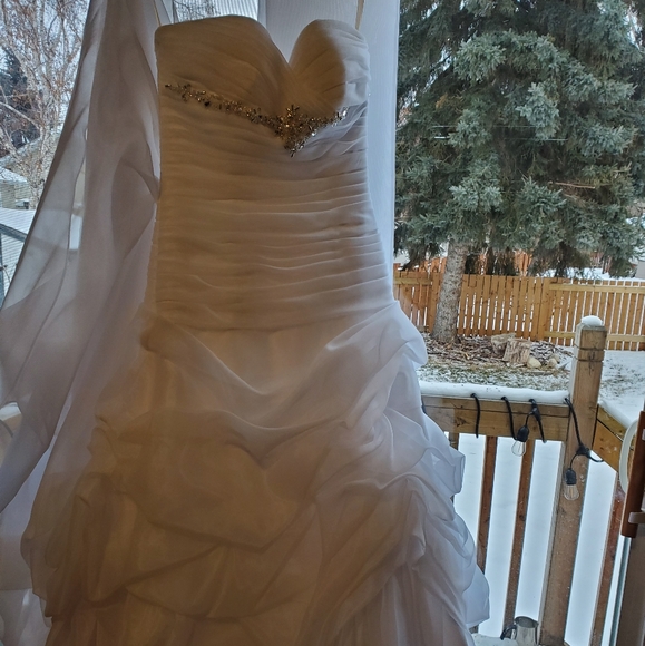 Madison Collection Wedding Dress - Picture 3 of 5